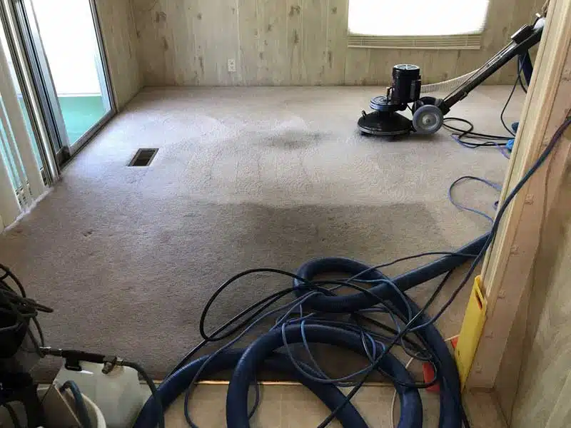 Carpet Cleaners in Marion County